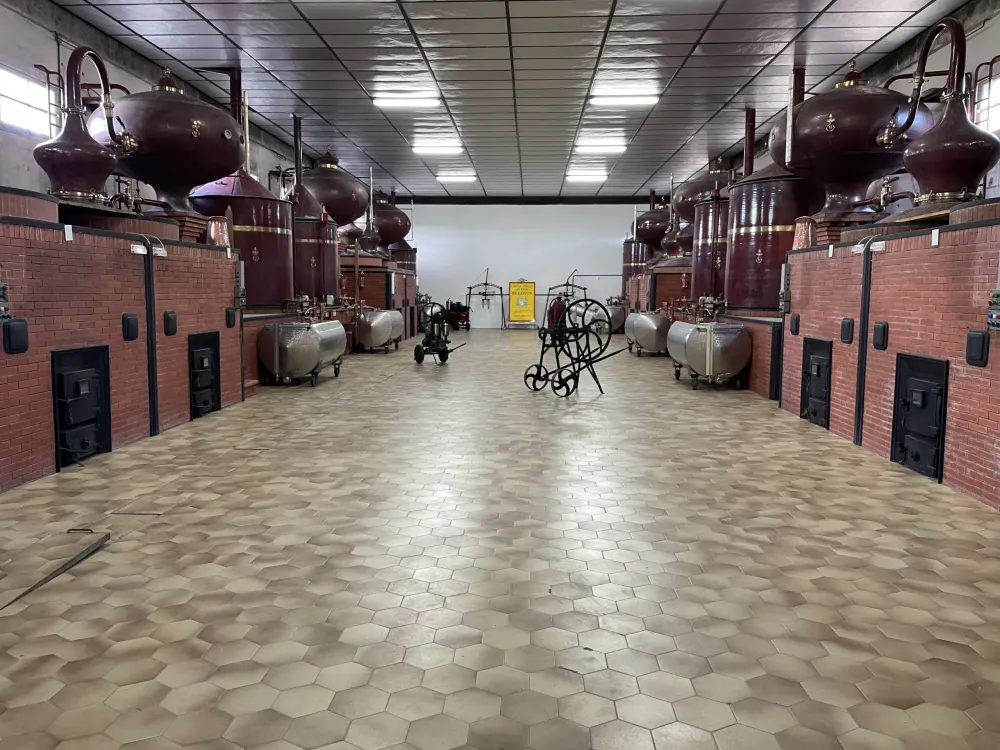 Visite du Chai à  Sainte-Lheurine